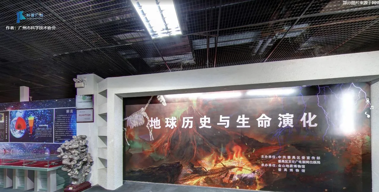 金山地质博物馆