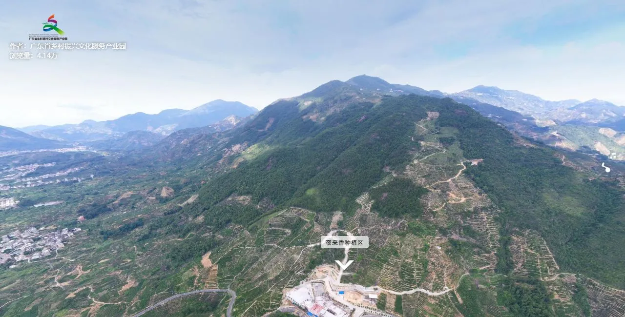 潮州市潮安区凤凰单丛茶省级现代农业产业园