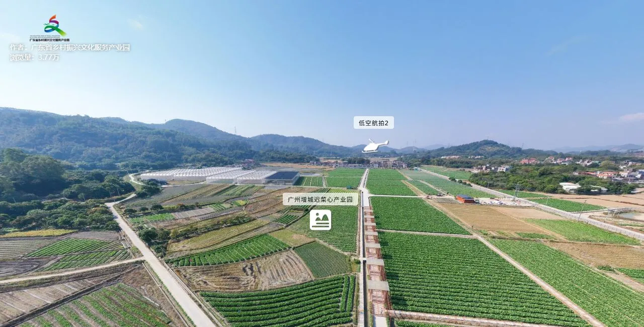 增城迟菜心产业园