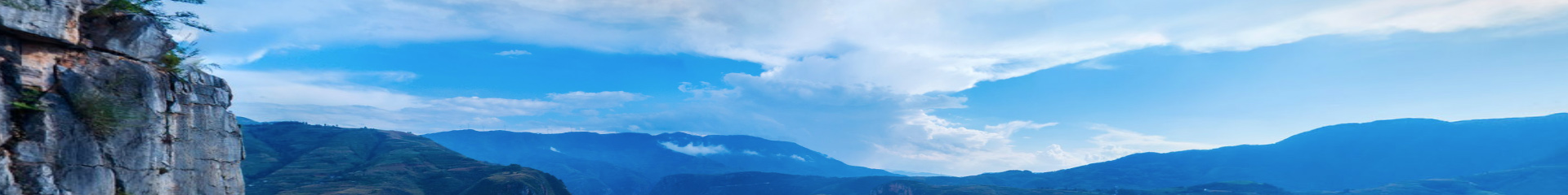 <strong>VR实景数智政务</strong>
