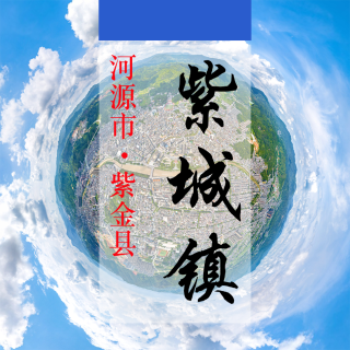 数字紫城(722)&mdash;记录对比评价乡村振兴可视化