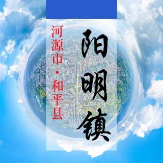 数字阳明(424)&mdash;记录对比评价乡村振兴可视化