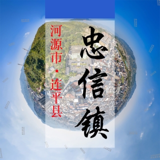 数字忠信(385)&mdash;记录对比评价乡村振兴可视化