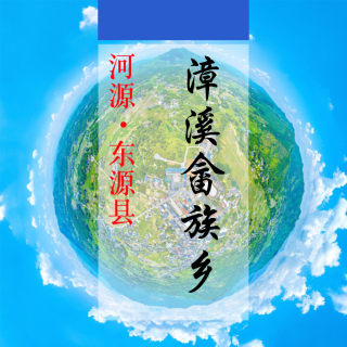 数字漳溪(237)&mdash;记录对比评价乡村振兴可视化