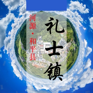 数字礼士(153)&mdash;记录对比评价乡村振兴可视化