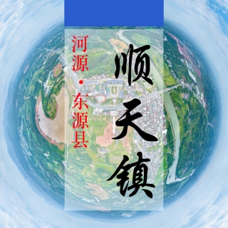 数字顺天(319)&mdash;记录对比评价乡村振兴可视化