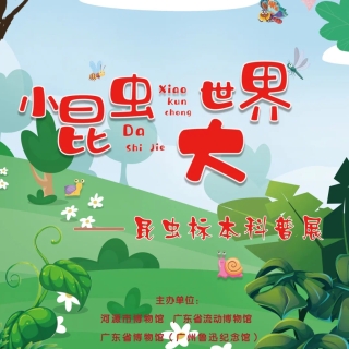 小昆虫&middot;大世界&mdash;&mdash;昆虫标本科普展