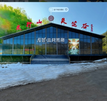 太行山灵芝谷