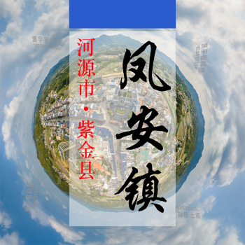 数字凤安（237）&mdash;记录对比评价乡村振兴可视化
