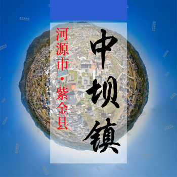 数字中坝(212)&mdash;记录对比评价乡村振兴可视化