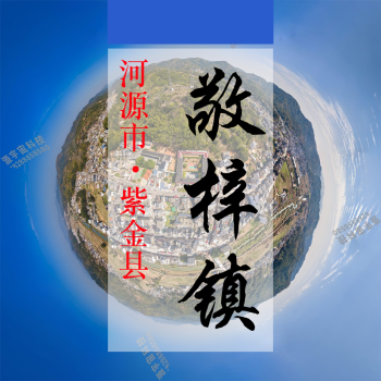 数字敬梓(143)&mdash;记录对比评价乡村振兴可视化