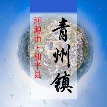 数字青州(134)&mdash;记录对比评价乡村振兴可视化