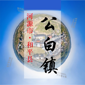 数字公白(116)&mdash;记录对比评价乡村振兴可视化