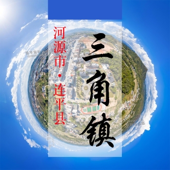 数字三角(133)&mdash;记录对比评价乡村振兴可视化