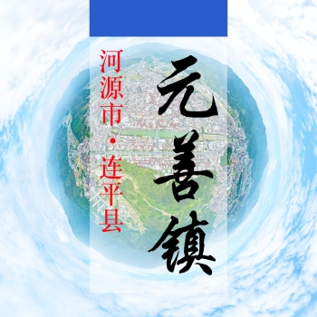 数字元善(216)&mdash;记录对比评价乡村振兴可视化