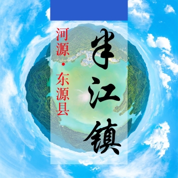 数字半江(135)&mdash;记录对比评价乡村振兴可视化