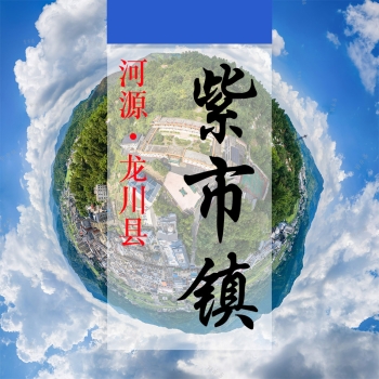数字紫市(130)&mdash;VR可视化展示平台