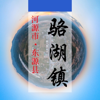数字骆湖(212)&mdash;记录对比评价乡村振兴可视化