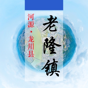 数字老隆(415)&mdash;记录对比评价乡村振兴可视化