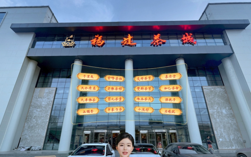 福建茶城
