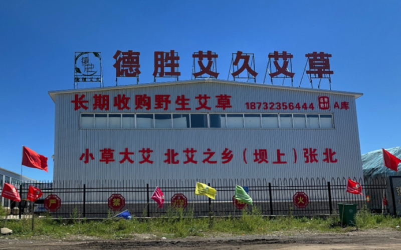 张北艾草良灸