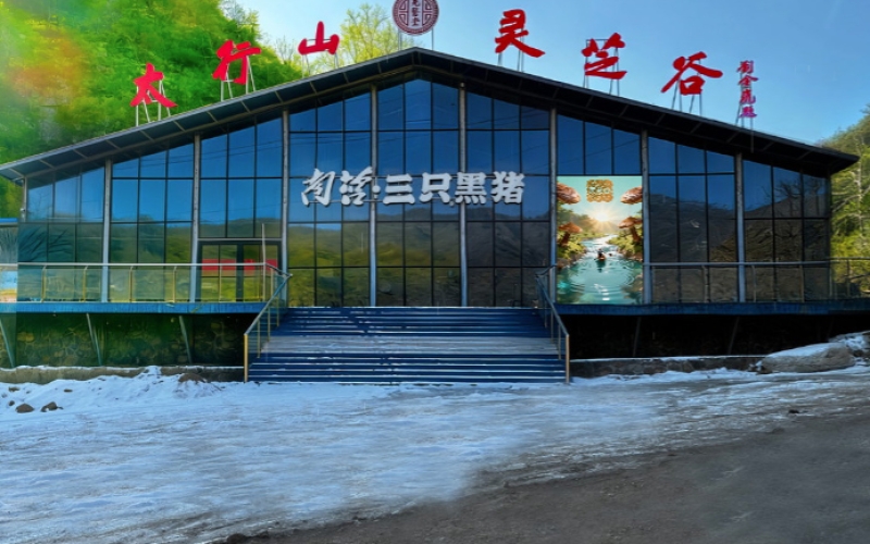 太行山灵芝谷